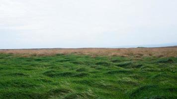 Beautiful irish landscape with green grass and dry grass on a windy day. Ireland photo