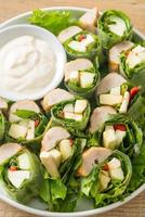 vegetables wrap or salad rolls with creamy salad sauce