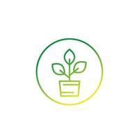 plant in pot, vector line icon