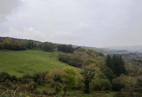 Beautiful irish landscape with cloudy sky. Green fields with sheep. photo