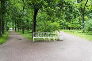 parque de verano con bancos blancos y senderos. foto