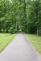 Tsarskoye Selo Pushkin, St. Petersburg, alley in the Park, trees and shrubs, walking paths. photo
