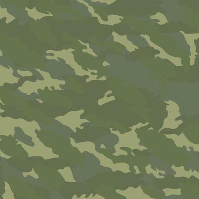 Russian berezka ussr soviet KGB Frontier border guard camouflage stripes pattern military background suitable for print clothing