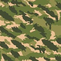 Legendary NVA vietcong PAVN camouflage cape stripes pattern military background suitable for print cloth vector