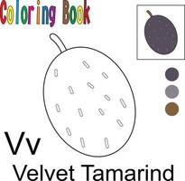 Cartoon Velvet Tamarind. Coloring book with a fruit theme. Vector illustration graphic. Good for children to learn and color.