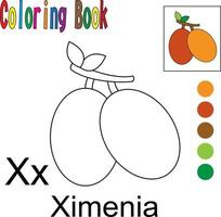 caricatura ximenia libro para colorear con un tema de frutas. gráfico de ilustración vectorial. Bueno para que los niños aprendan y coloreen. vector