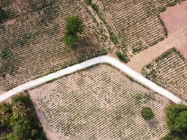 tierras de cultivo en la ladera de la montaña en Tailandia rural, fotografía de paisajes, fotografía de drones foto