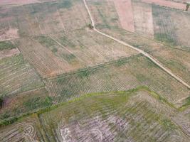 tierras de cultivo en la ladera de la montaña en Tailandia rural, fotografía de paisajes, fotografía de drones foto