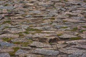 pavimento revestido con adoquines. la hierba verde se rompe entre las piedras de la cubierta foto