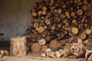 Hangar with logs and decks of wood. Harvesting firewood for the winter. photo