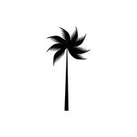 coconut tree icon vector illustration