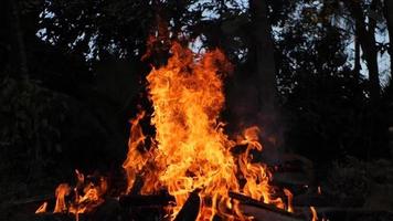 verbrannte Holzplatten. ein Holzhaufen brannte. video