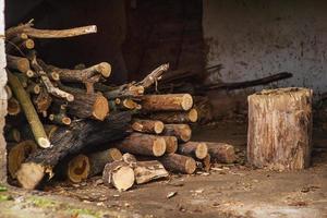 Hangar with logs and decks of wood. Harvesting firewood for the winter. photo