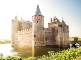Medieval fortress with moat lit by sunshine photo