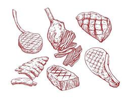 beef meat set illustration vector