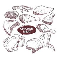 chicken meat set illustration