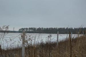 Panorama of an agricultural field covered with snow in winter photo