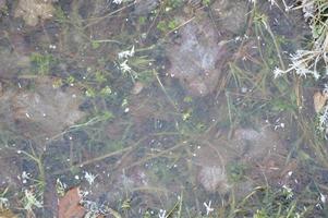 Ice texture on the ground winter patterns photo