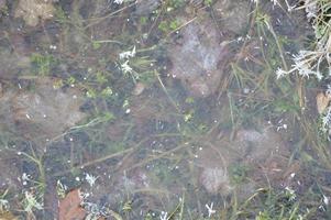 textura de hielo en el suelo patrones de invierno foto