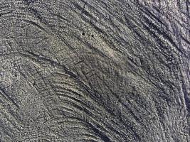 Tree stump in winter in the snow photo