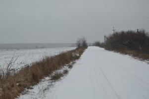 panorama de un campo agrícola cubierto de nieve en invierno foto