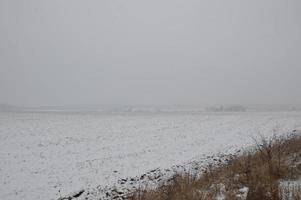 Panorama of an agricultural field covered with snow in winter photo