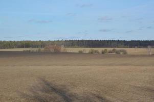 Panorama of agricultural field in winter photo