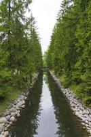 un pequeño canal de agua con árboles coníferos y un puente. foto