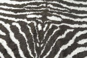 White and black carpet in a striped fabric. photo