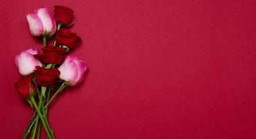 rosas sobre fondo rojo aislado. vista superior y maqueta. día de la madre y san valentín. vacaciones de mujeres. papel tapiz y concepto romántico. ramo de rosas de flores. regalo de cumpleaños de flores. bandera foto