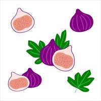 conjunto de iconos de higo. dibujado a mano. , minimalismo. pegatina, etiqueta de tarjeta, cartel impreso, comida de frutas vector