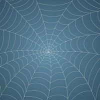 Spider web, cobweb pattern background vector