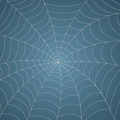 Spider web, cobweb pattern background