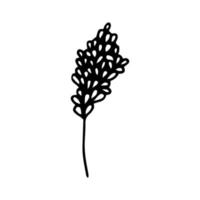 Plant outline drawing with a black line. Monochrome image.Flowers in drops.Branch.Vector vector