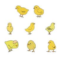 Set of Chicken yellow hand drawn line drawing. Contour drawing.Scrawl.Drawing for the Easter holiday. Little chicken.Bird house.Vector vector