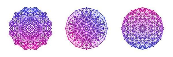 mandala ornamental design element vector illustration.