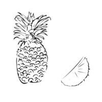 Vector illustration of a pineapple on a white isolated background. Shop sketch, banner, menu, and logo. Black and white outline.