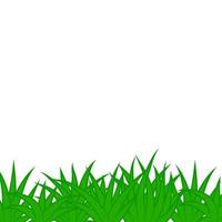 Card with green grass isolated on white background with empty space. vector