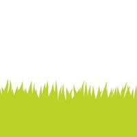 Card with green grass isolated on white background with empty space. vector