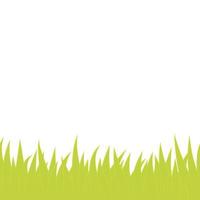 Card with green grass isolated on white background with empty space. vector