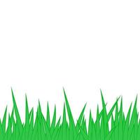 Card with green grass isolated on white background with empty space. vector