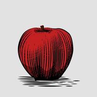 illustration of red apple engraving free vector
