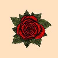 Illustration Of Red Rose Flower Engraving free vector