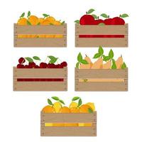 Wooden box set with fruits. Case with orange, lemon, apple, pear and cherry isolated on white background. Vector illustration.