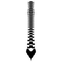 Human spine icon black color vector illustration image flat style