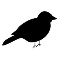 pájaro color negro vector