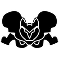 Pelvis skeleton black icon . vector