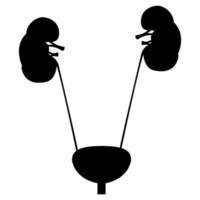 Bladder and kidney black black icon . vector