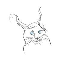 ilustración vectorial lineart de un gato vector