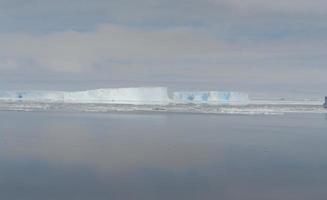 Antarctica endless ice fields icebergs in the sea photo
